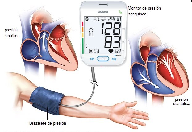 ¿Qué es la presión arterial y que medidas son normales?